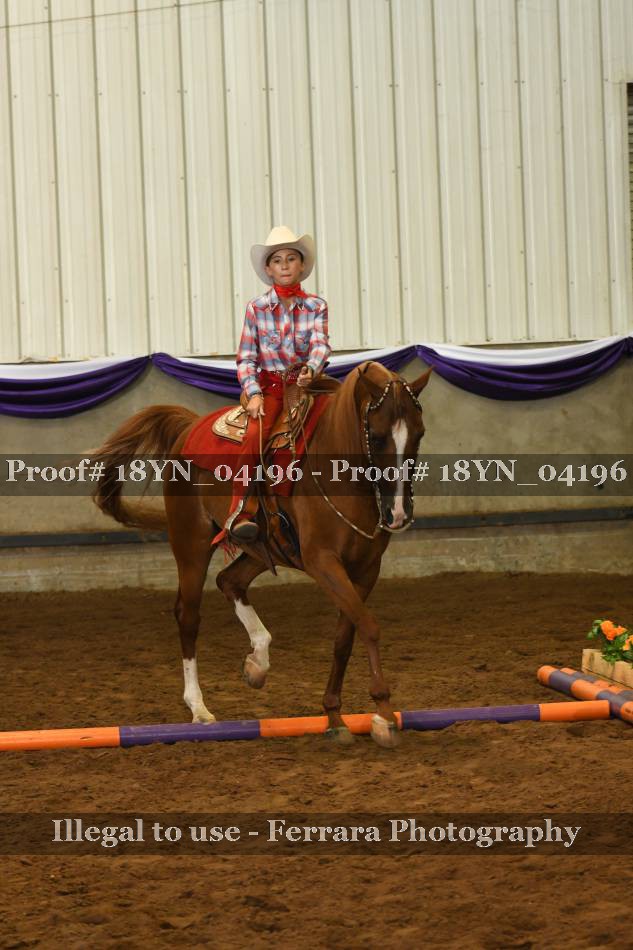 Proof 18YN_04196