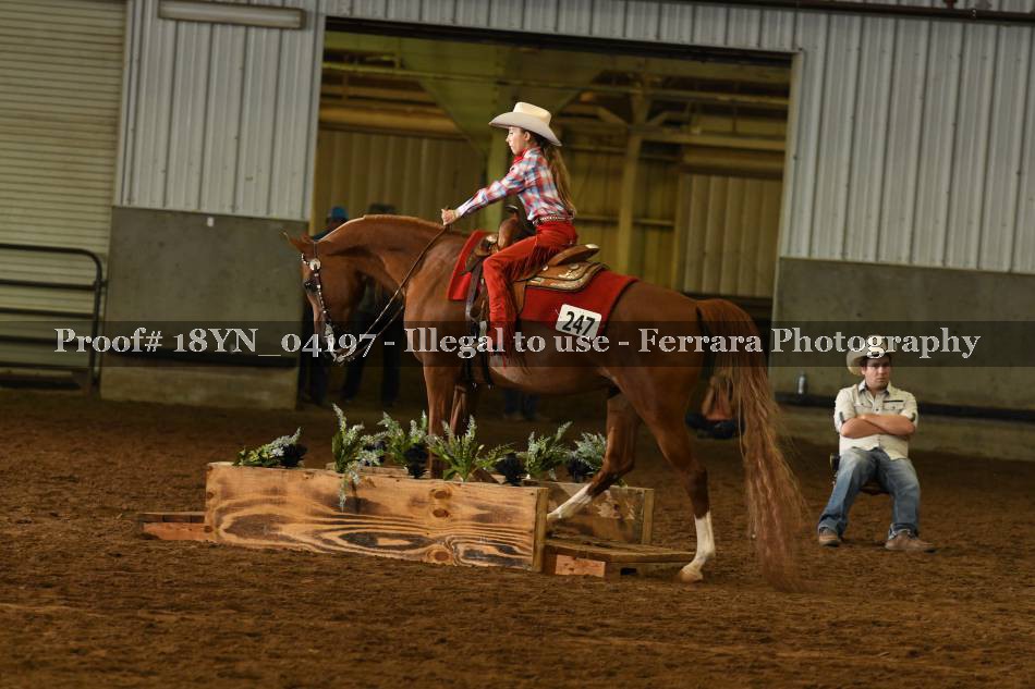 Proof 18YN_04197