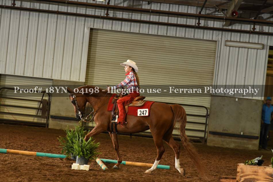Proof 18YN_04198