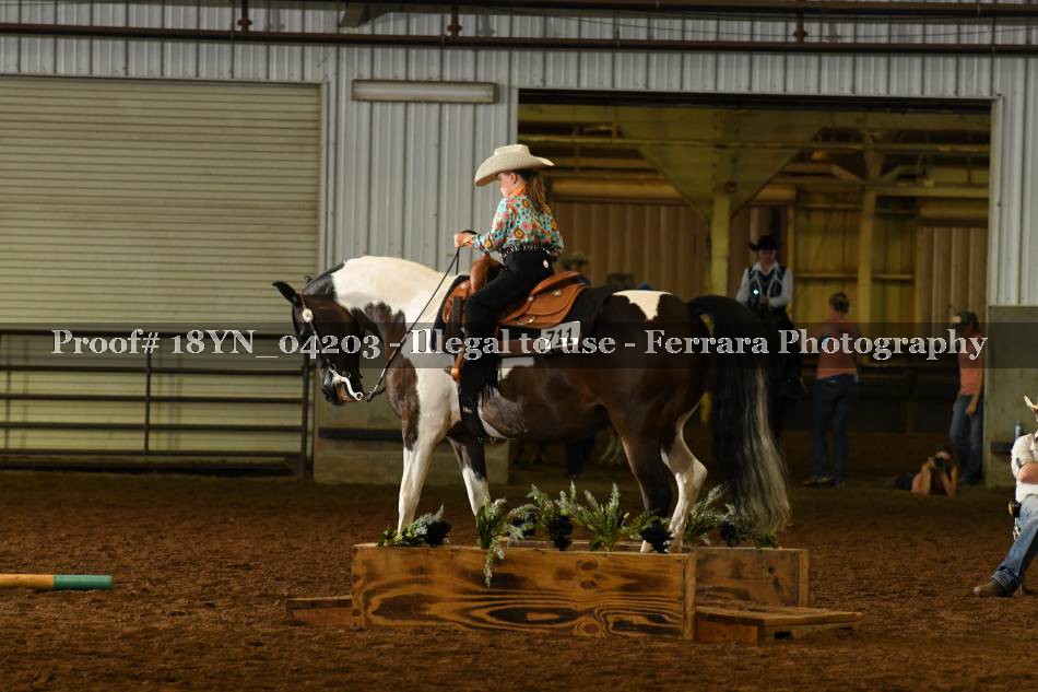Proof 18YN_04203