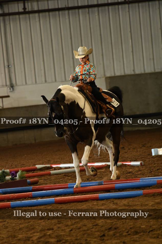 Proof 18YN_04205
