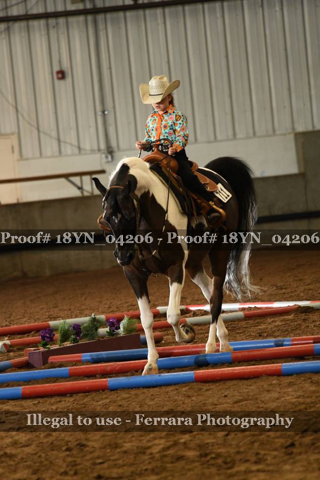 Proof 18YN_04206