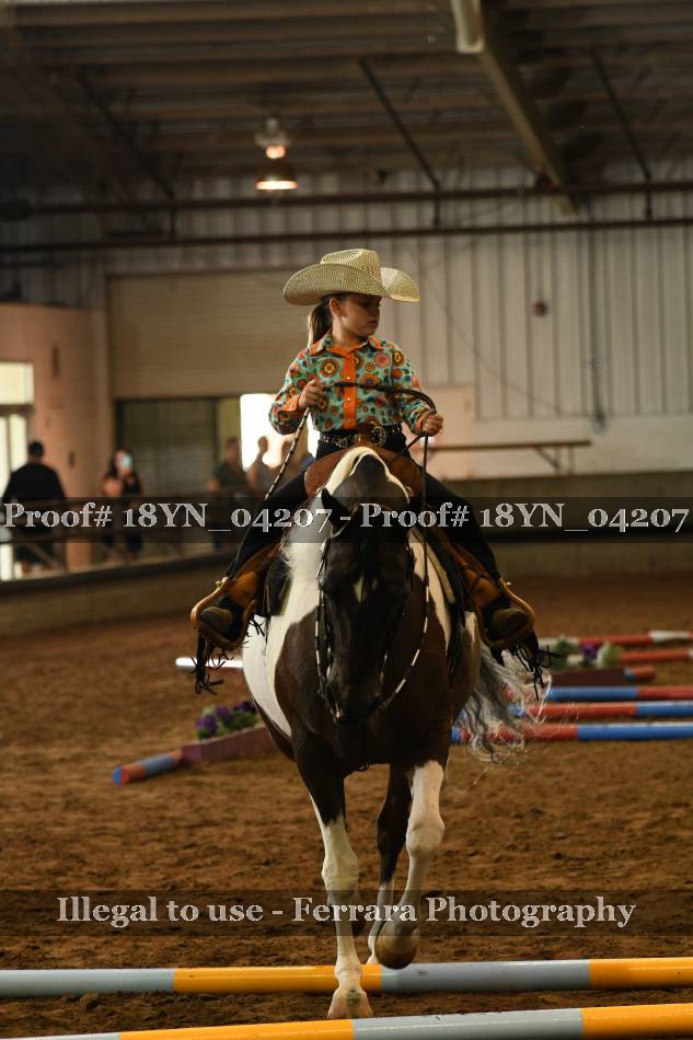 Proof 18YN_04207