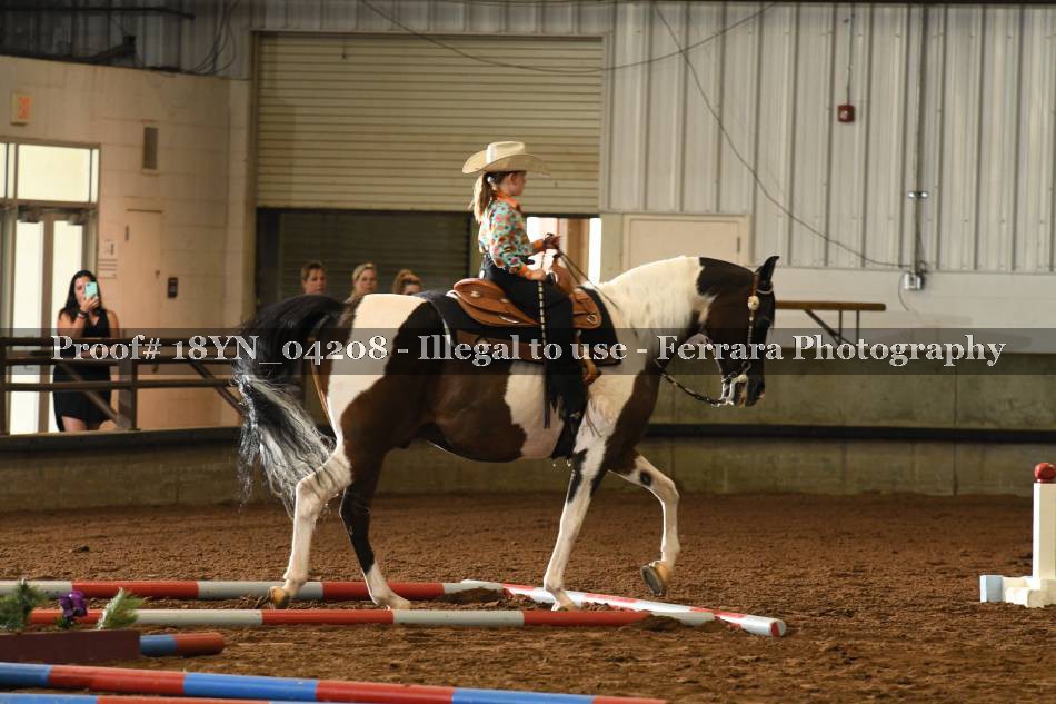 Proof 18YN_04208