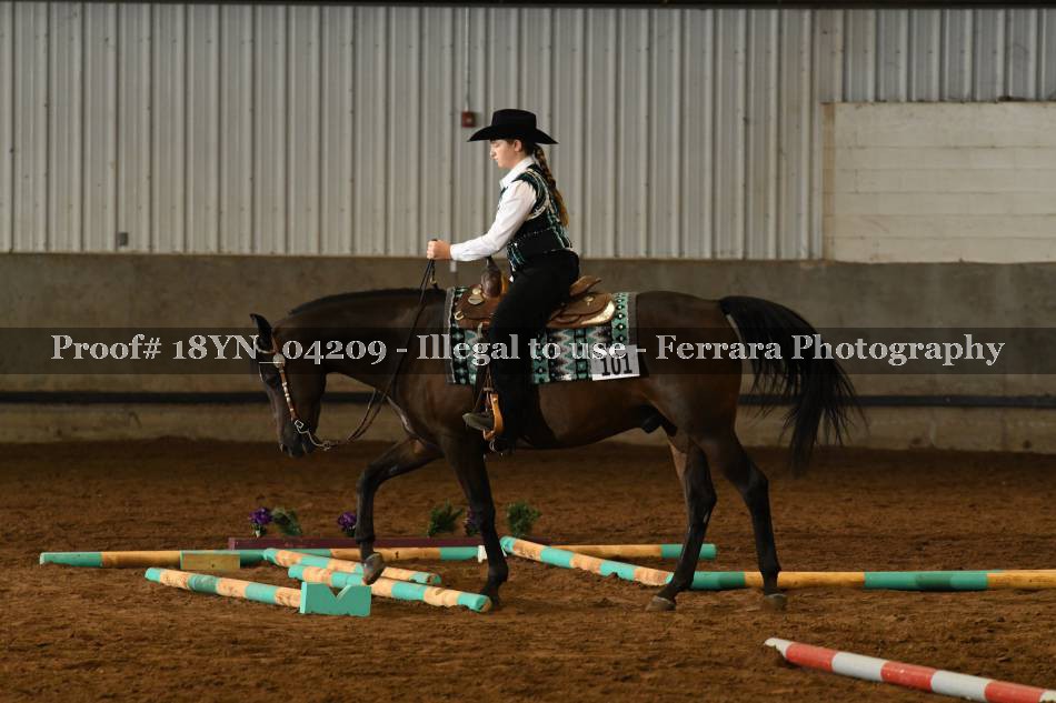 Proof 18YN_04209
