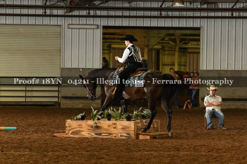 Proof 18YN_04211
