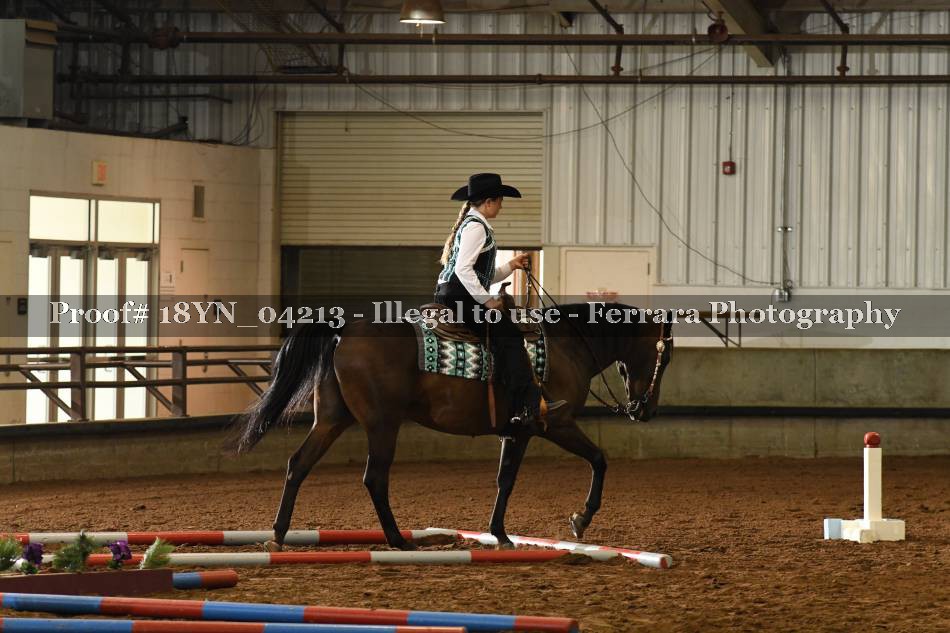 Proof 18YN_04213
