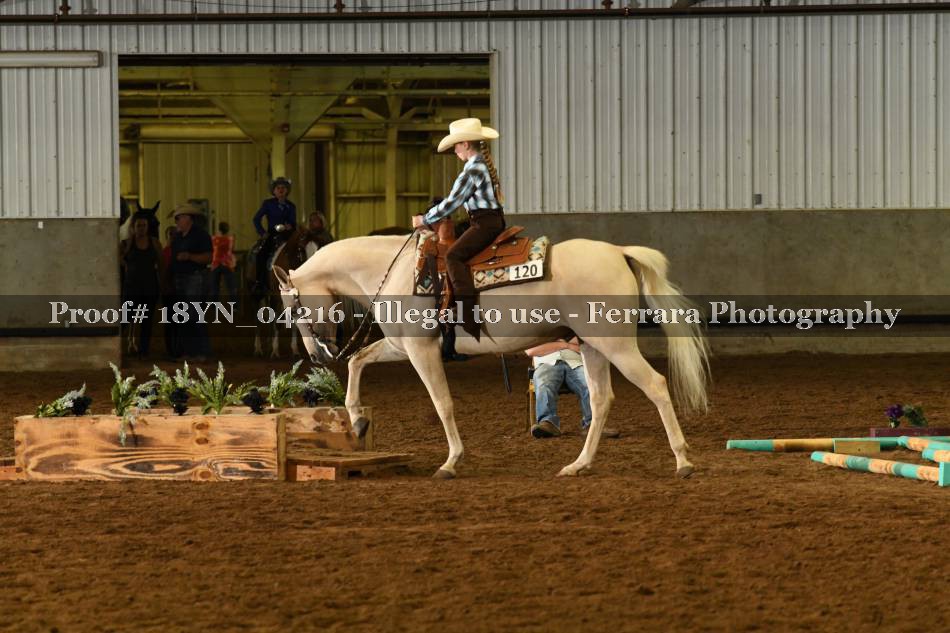 Proof 18YN_04216