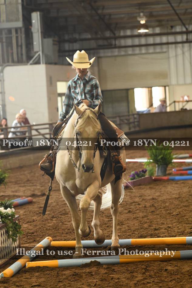 Proof 18YN_04221