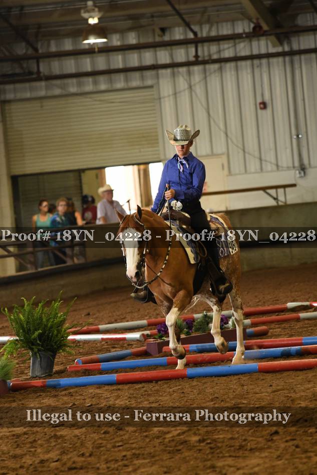 Proof 18YN_04228