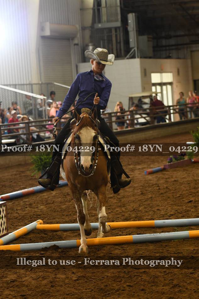 Proof 18YN_04229
