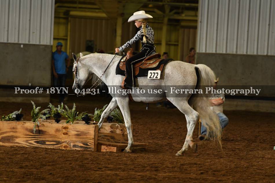 Proof 18YN_04231
