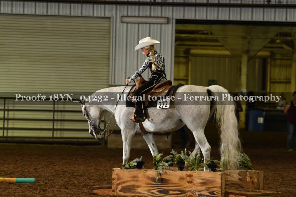 Proof 18YN_04232