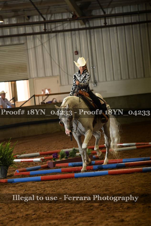 Proof 18YN_04233