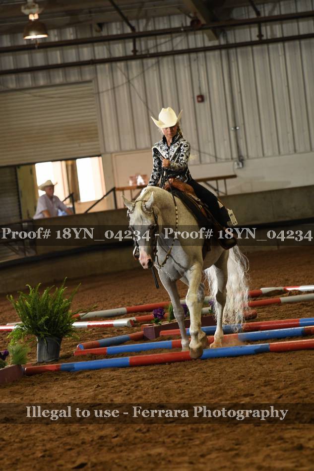 Proof 18YN_04234