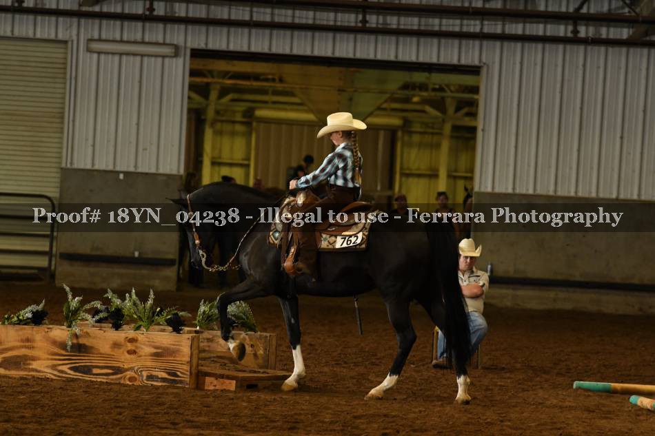 Proof 18YN_04238
