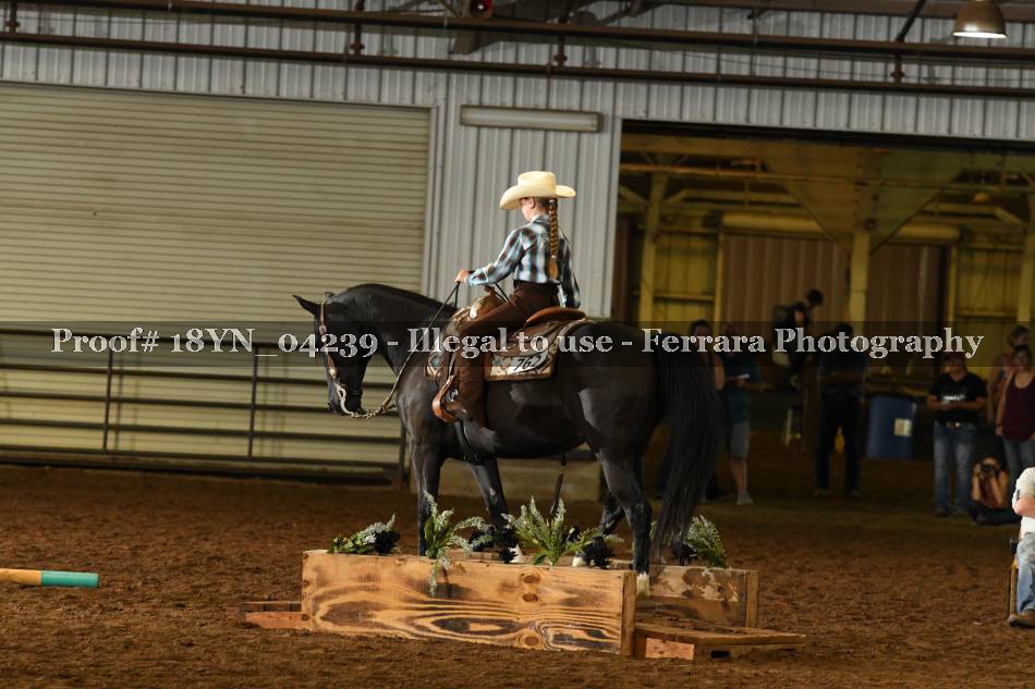 Proof 18YN_04239