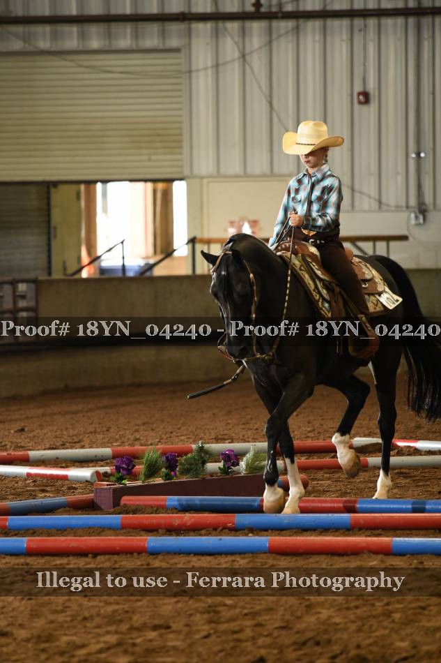 Proof 18YN_04240