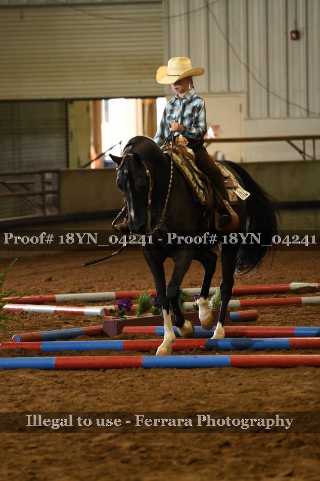 Proof 18YN_04241