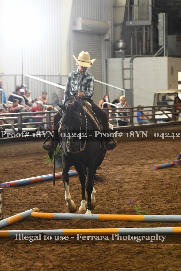 Proof 18YN_04242