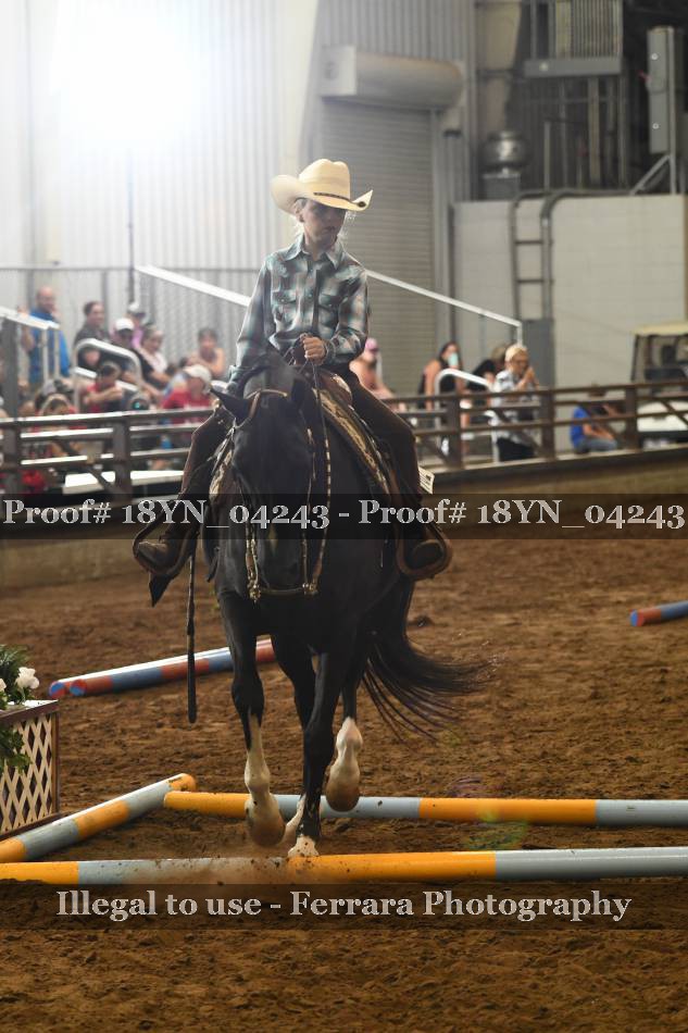 Proof 18YN_04243