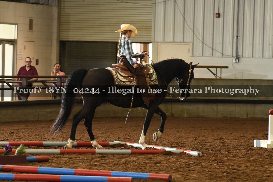 Proof 18YN_04244