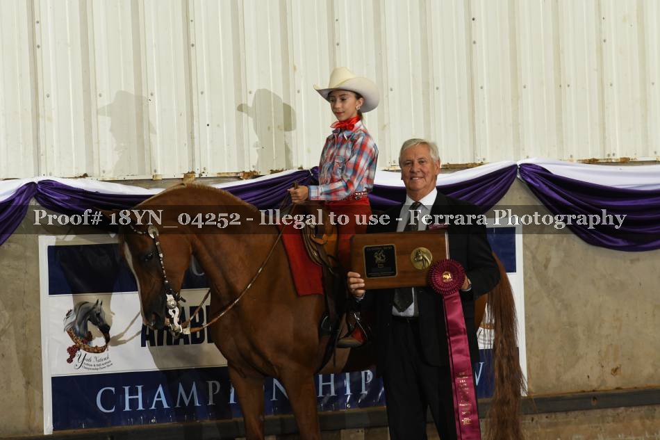 Proof 18YN_04252