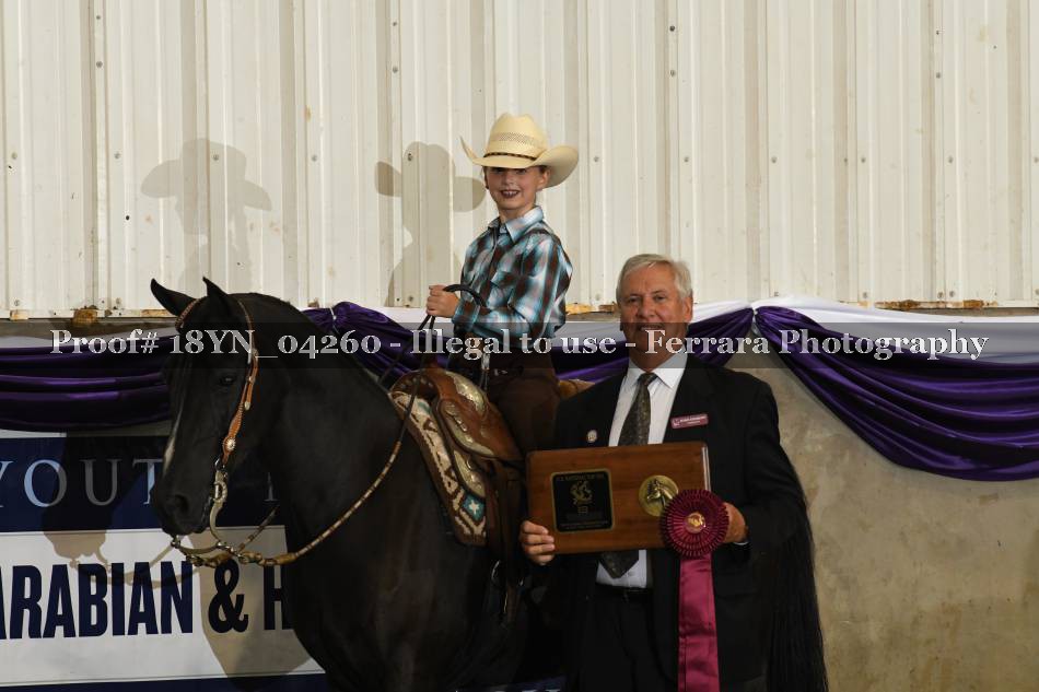 Proof 18YN_04260