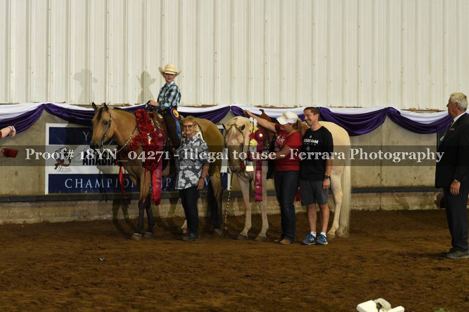 Proof 18YN_04271