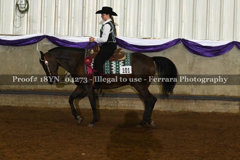 Proof 18YN_04273