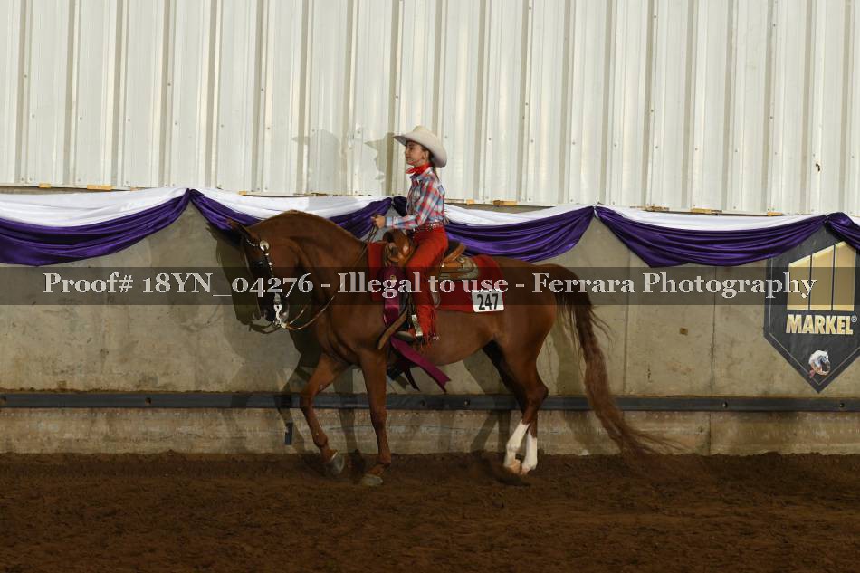 Proof 18YN_04276