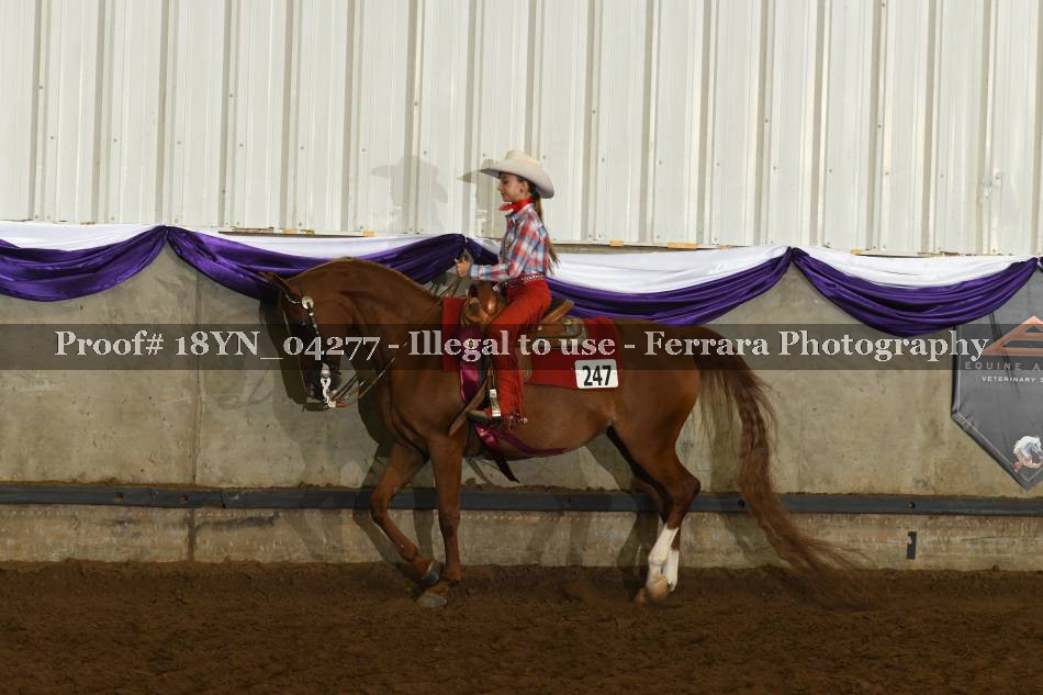 Proof 18YN_04277