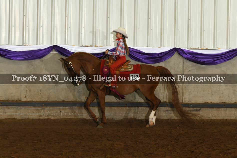 Proof 18YN_04278