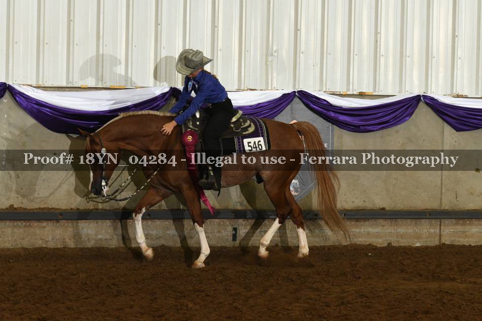 Proof 18YN_04284