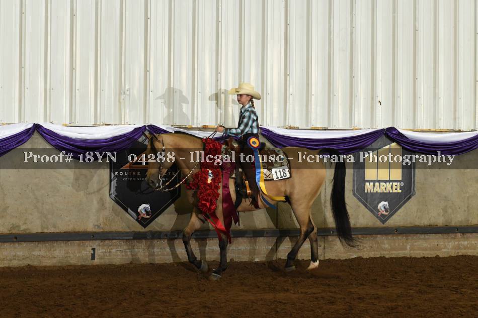 Proof 18YN_04288