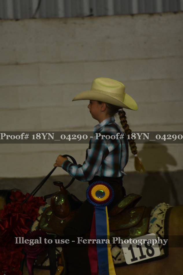 Proof 18YN_04290