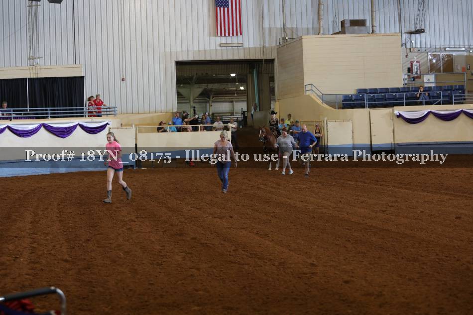 Proof 18YN_08175