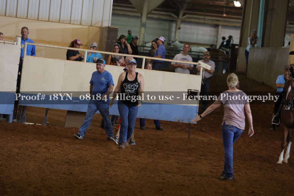 Proof 18YN_08184