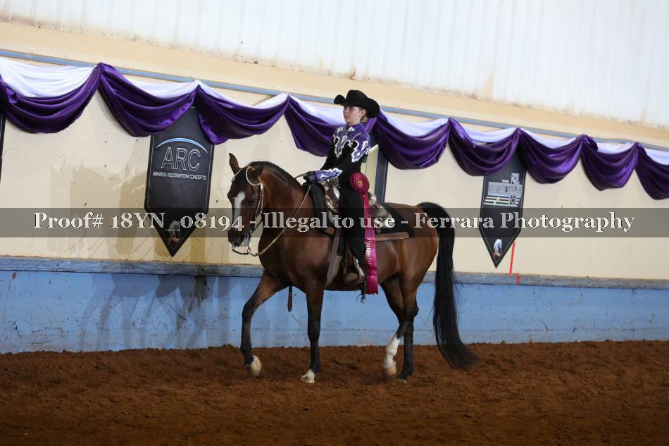 Proof 18YN_08194