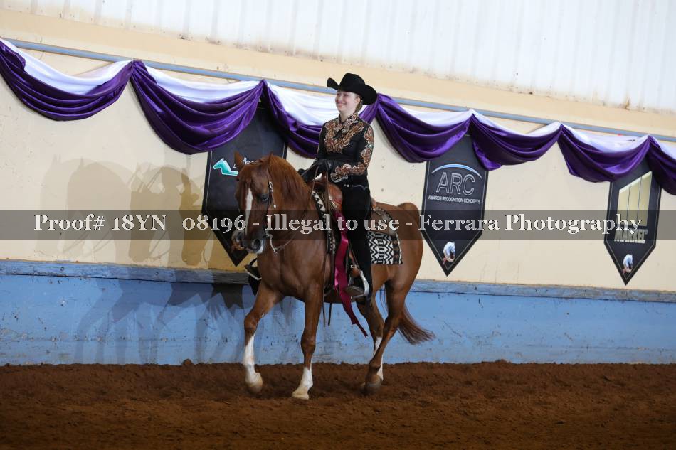 Proof 18YN_08196