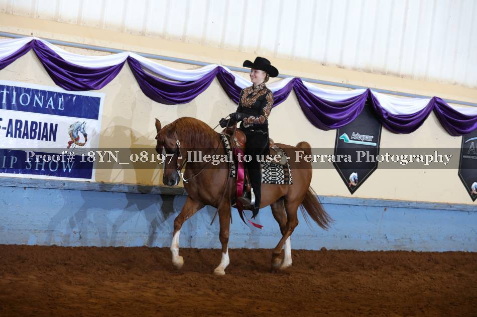 Proof 18YN_08197