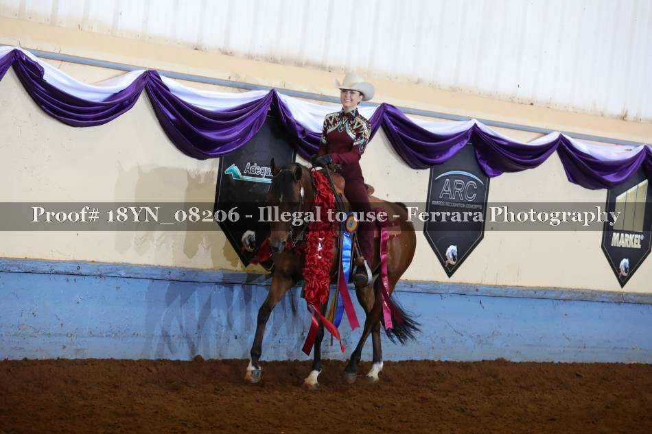 Proof 18YN_08206