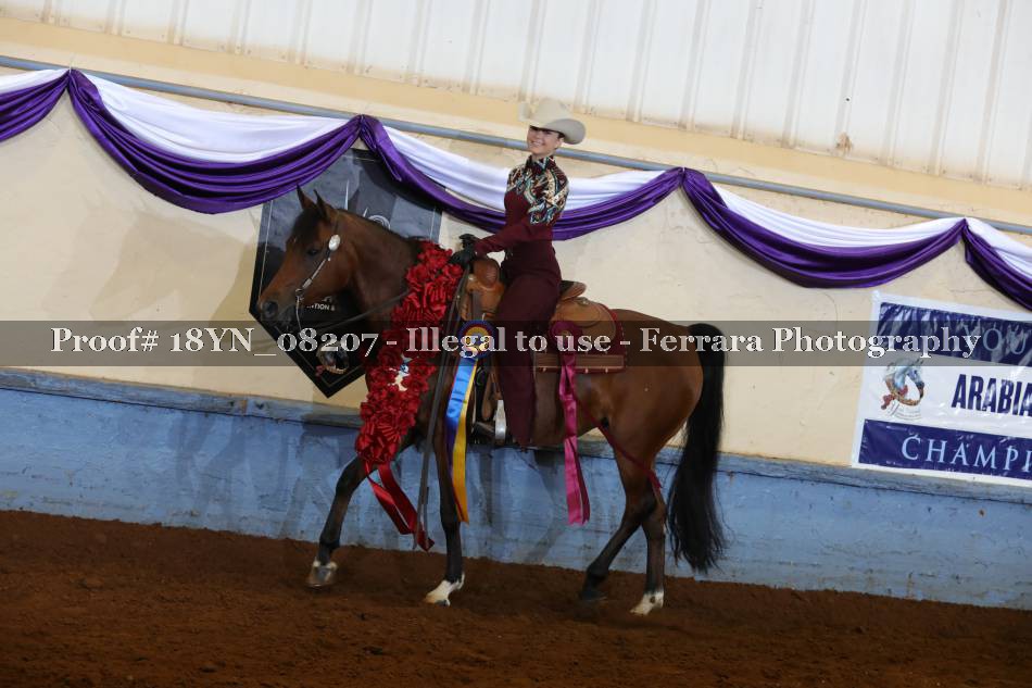 Proof 18YN_08207