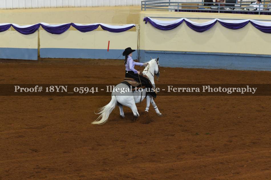 Proof 18YN_05941