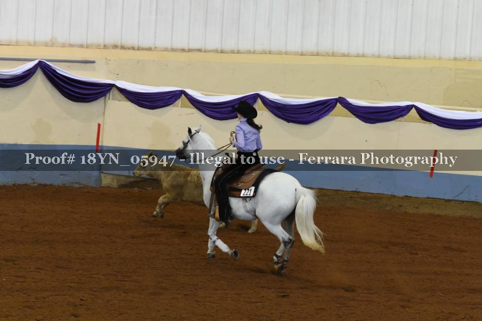 Proof 18YN_05947