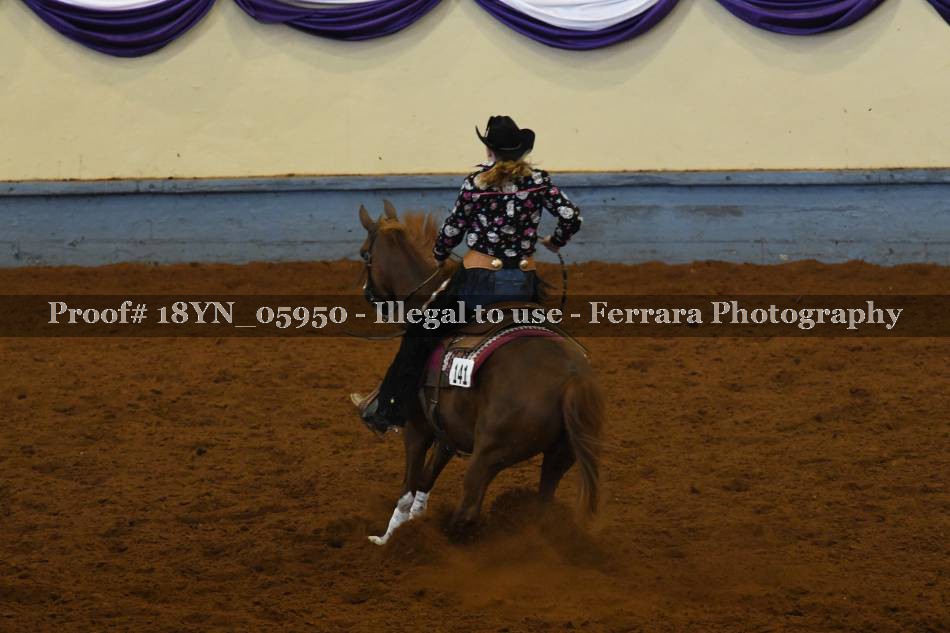 Proof 18YN_05950