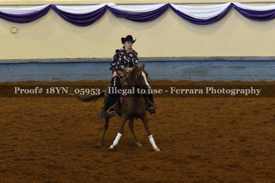 Proof 18YN_05953
