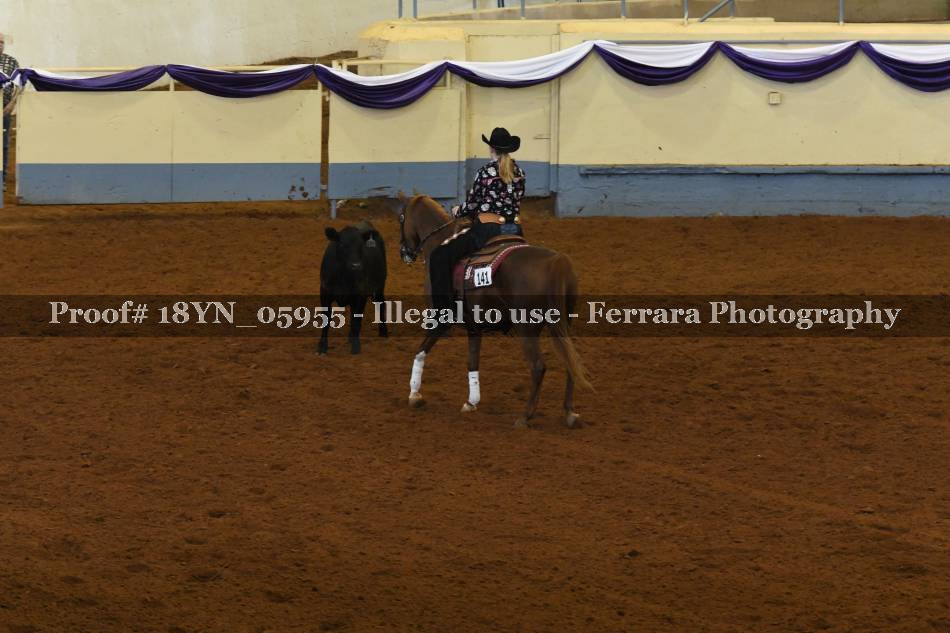 Proof 18YN_05955