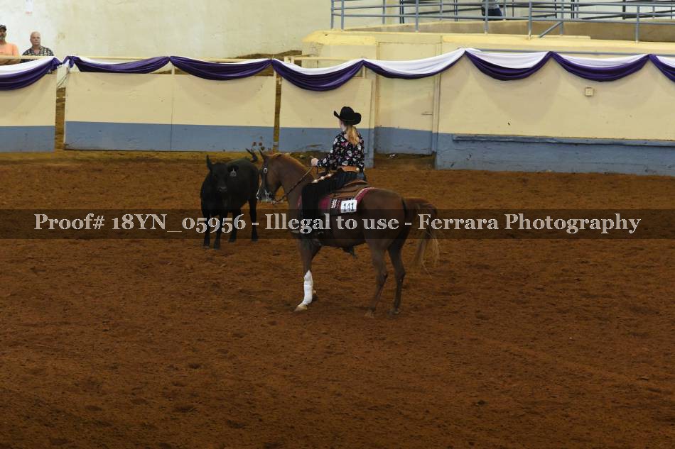 Proof 18YN_05956