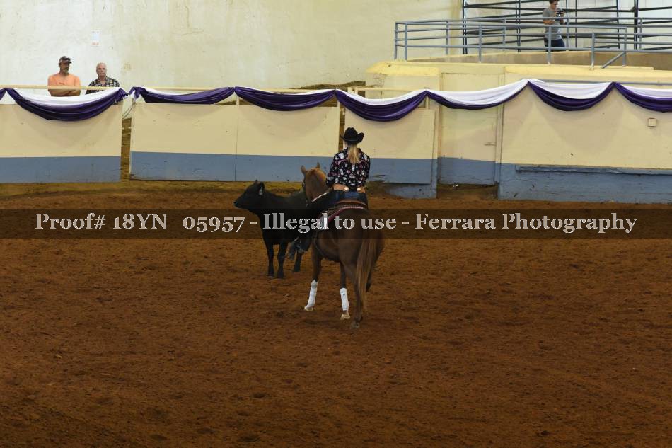 Proof 18YN_05957
